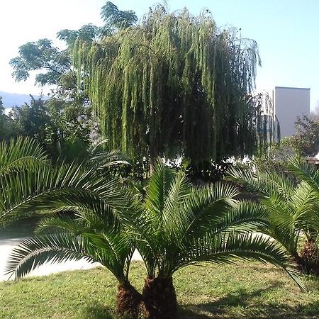 Hollywood Suites Tigaki Kültér fotó